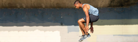 Tradewind Collection